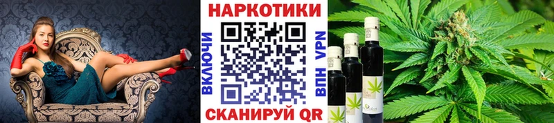 APVP Волгоград
