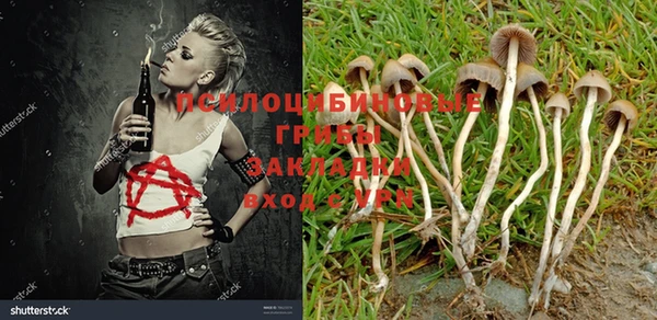 дурь Балабаново