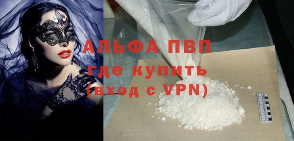 ПСИЛОЦИБИНОВЫЕ ГРИБЫ Белокуриха