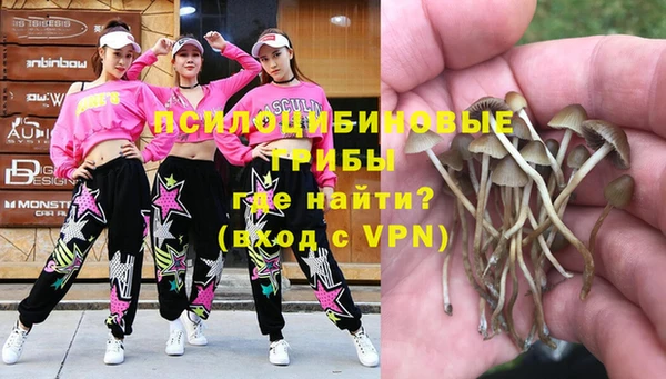 молекула духа Баксан