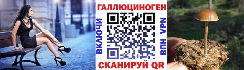даркнет сайт  Волгоград  Галлюциногенные грибы мицелий 